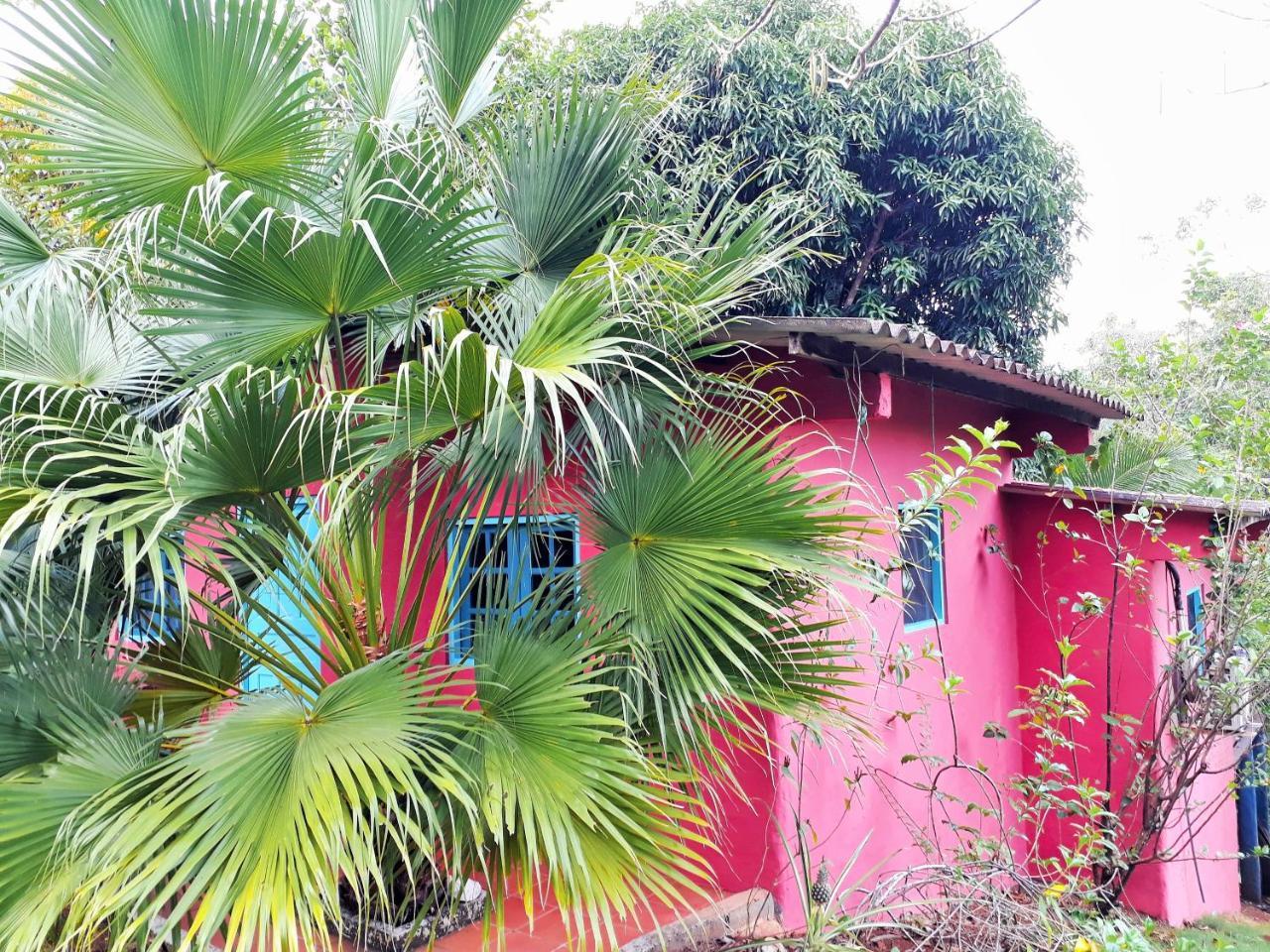Casa Maya Santa Catalina Eksteriør bilde